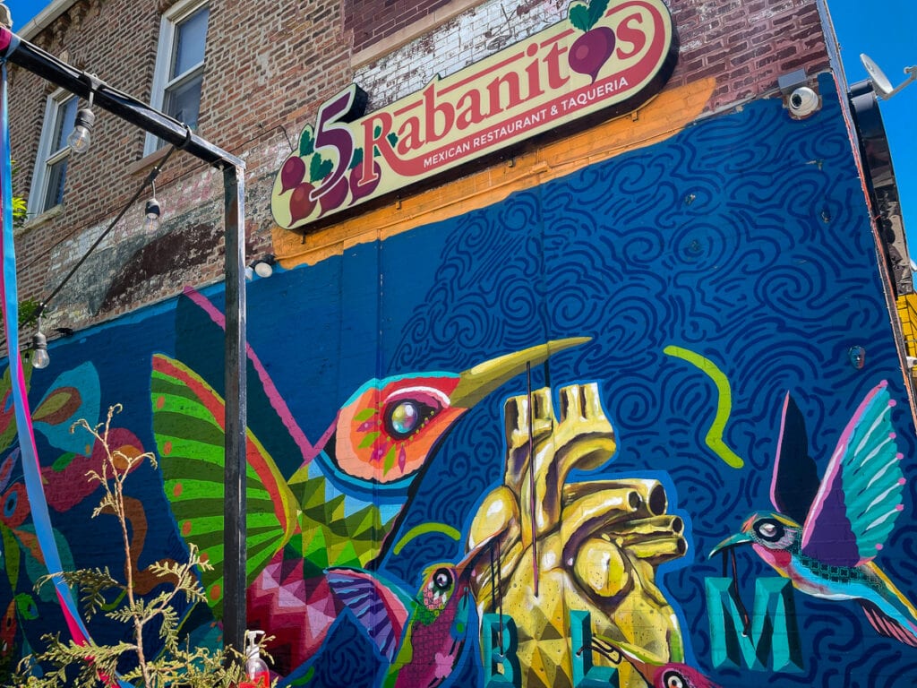 5 Rabanitos, restaurant, Mexican, Pilsen, Sotelo, Chicago, immigrant, pandemic, food, industry, pandemic, community