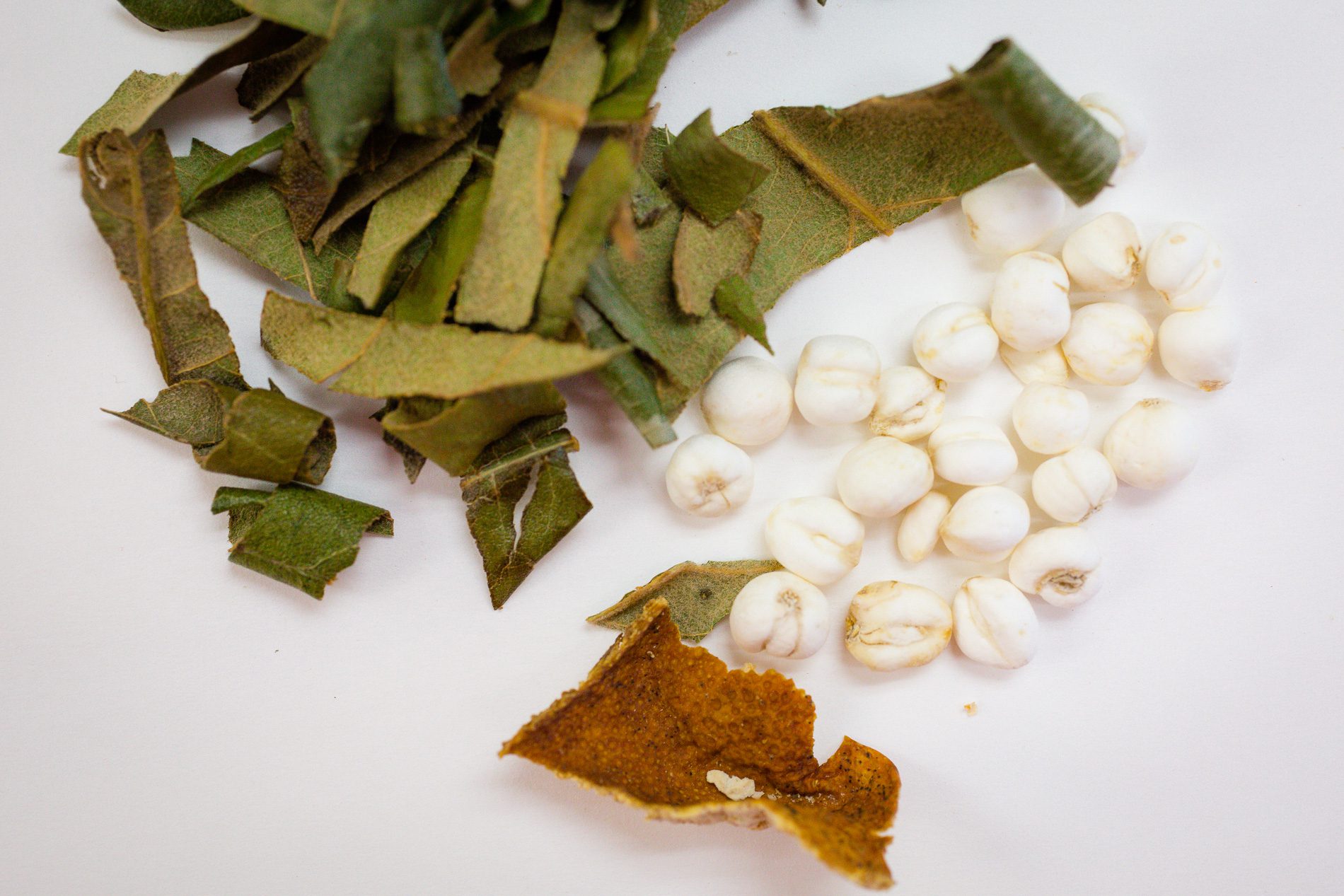 Hoja de níspero, bulbo de fritillera y cáscara de mandarina sobre un papel blanco