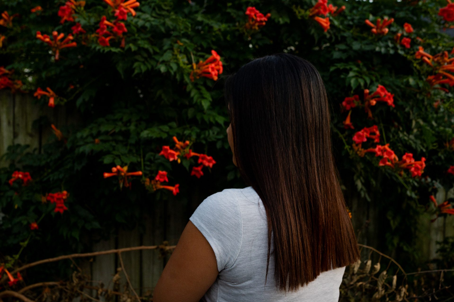 La luz del atardecer ilumina los reflejos del pelo castaño de Dollis. Está mirando hacia un arbusto de flores de su jardín.