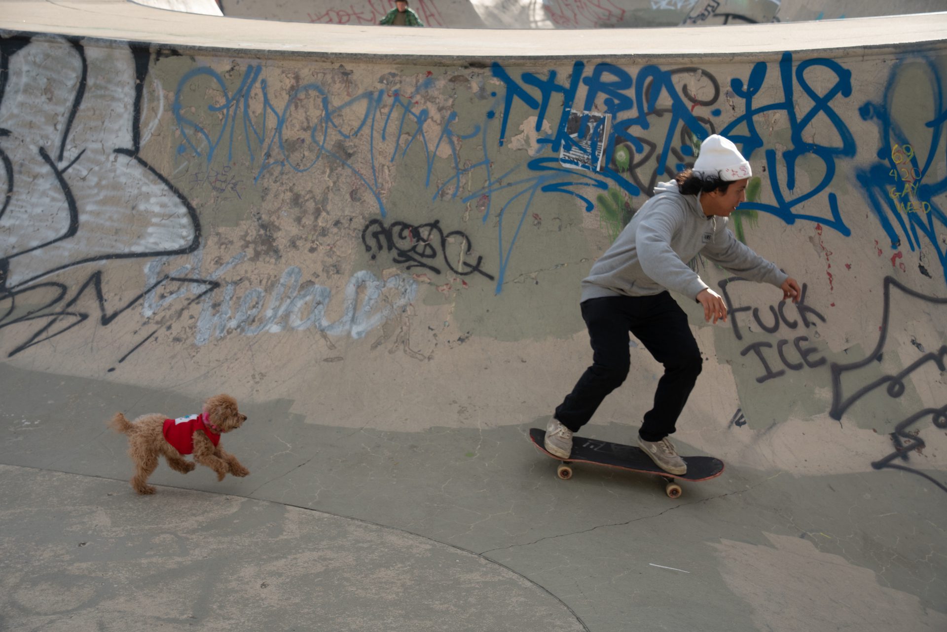 Rodrigo Ponce skates in a bowl in the Wilson Skate Park as his aunt's dog, Benny, runs behind him during a fundraising event in partnership with Chicago Roller Girls.