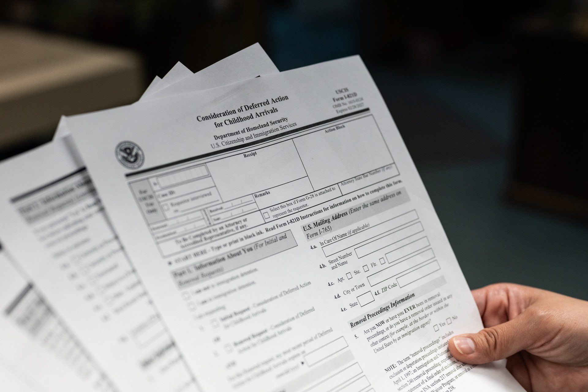 Attorney Teresa Flores holds a DACA application.