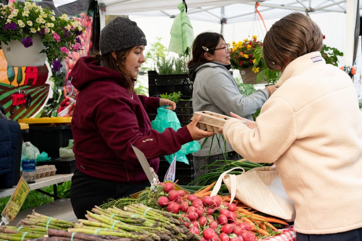 Stephanie Rodriguez, co-owner of Los Rodriguez Farm, bags eggs for a customer while vending at Uptown’s Farmers Market.