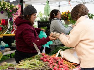 Stephanie Rodriguez, co-owner of Los Rodriguez Farm, bags eggs for a customer while vending at Uptown’s Farmers Market.