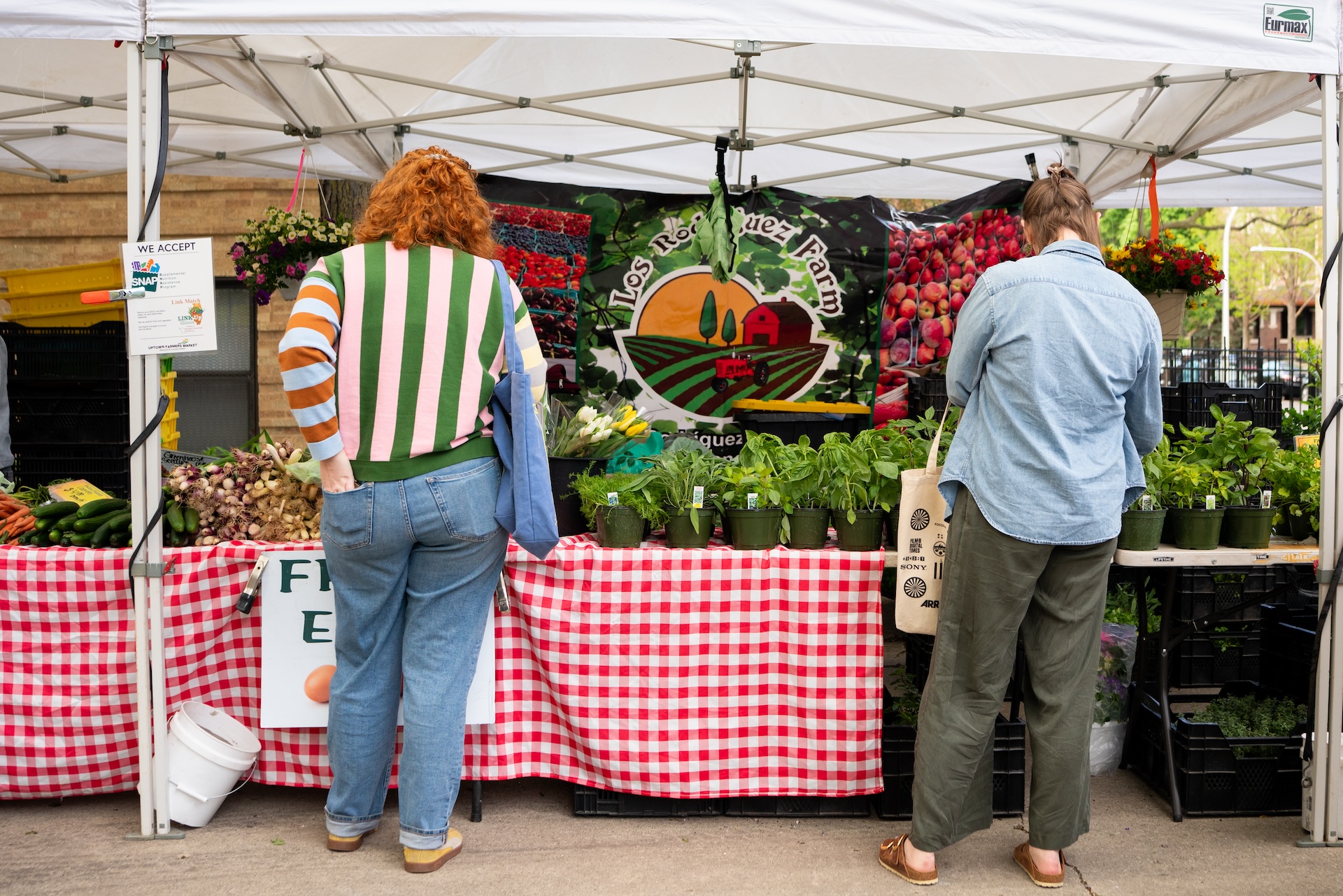 Two customers facing away browse produce at Los Rodriguez Farms at the Uptown Farmer’s Market on May 13, 2026.