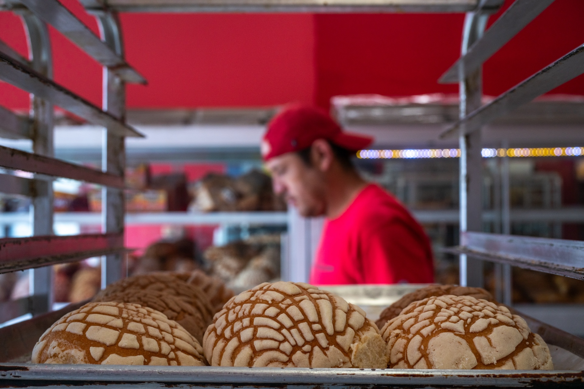 A tray of conchas or sweet breads, sits on a shelf at Salgado’s Bakery.